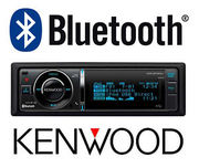 Mobile car audio/hands free and multi media & Alarm Systems.